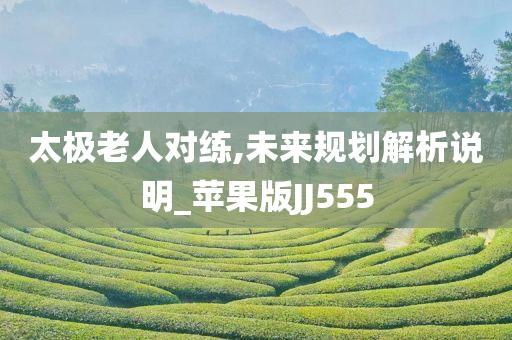 太极老人对练,未来规划解析说明_苹果版JJ555