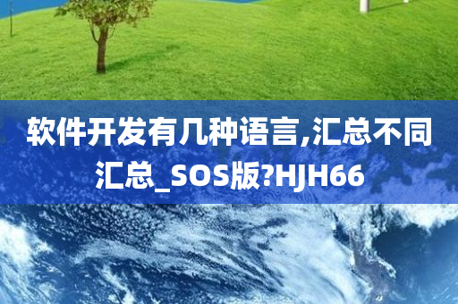 软件开发有几种语言,汇总不同汇总_SOS版?HJH66