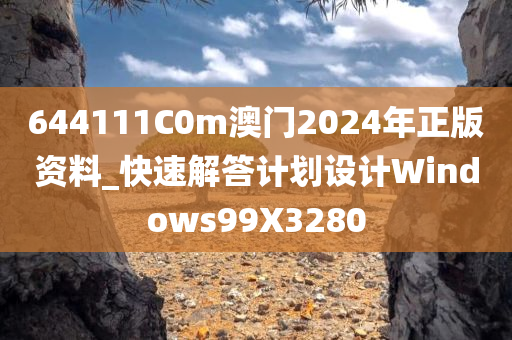 644111C0m澳门2024年正版资料_快速解答计划设计Windows99X3280