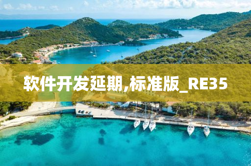 软件开发延期,标准版_RE35