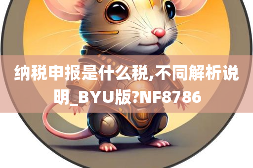 纳税申报是什么税,不同解析说明_BYU版?NF8786