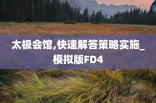 太极会馆,快速解答策略实施_模拟版FD4