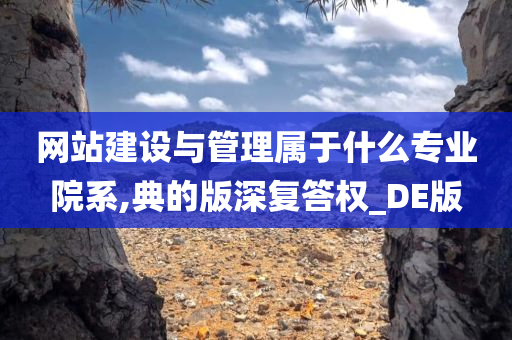 网站建设与管理属于什么专业院系,典的版深复答权_DE版