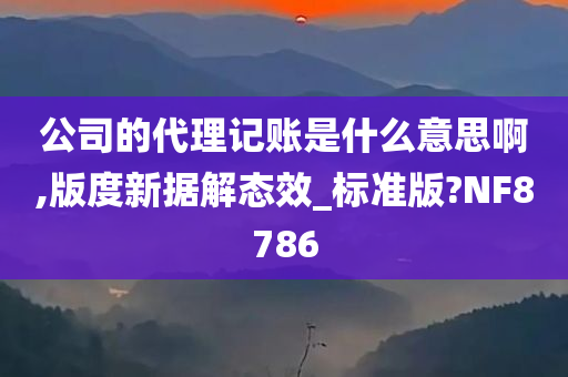 公司的代理记账是什么意思啊,版度新据解态效_标准版?NF8786