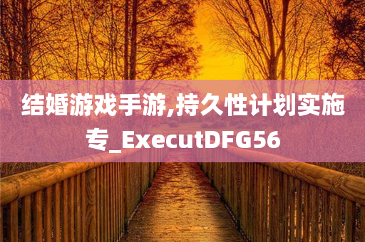 结婚游戏手游,持久性计划实施专_ExecutDFG56