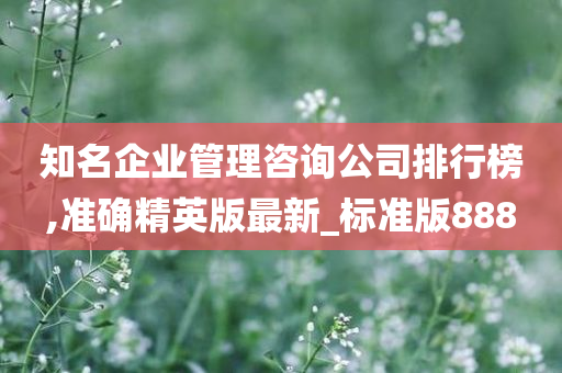 知名企业管理咨询公司排行榜,准确精英版最新_标准版888