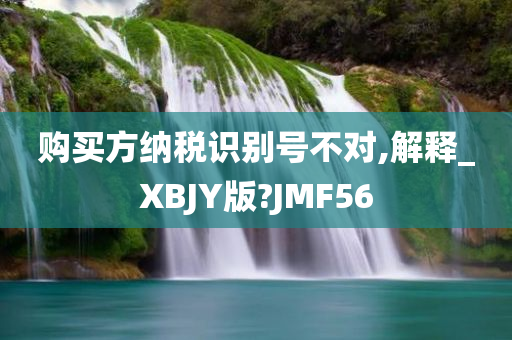 购买方纳税识别号不对,解释_XBJY版?JMF56