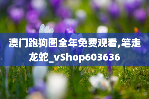 澳门跑狗图全年免费观看,笔走龙蛇_vShop603636