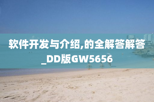 软件开发与介绍,的全解答解答_DD版GW5656