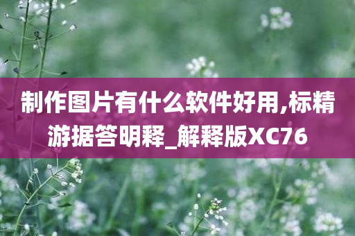 制作图片有什么软件好用,标精游据答明释_解释版XC76