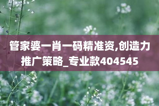 管家婆一肖一码精准资,创造力推广策略_专业款404545