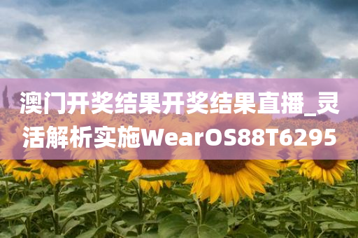 澳门开奖结果开奖结果直播_灵活解析实施WearOS88T6295