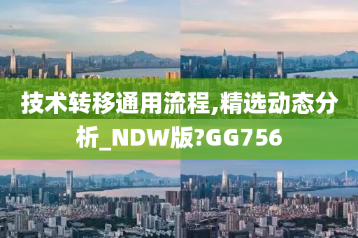 技术转移通用流程,精选动态分析_NDW版?GG756