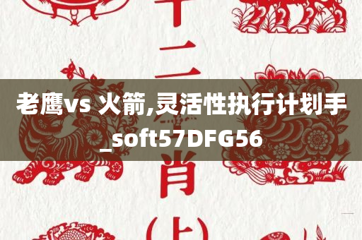 老鹰vs 火箭,灵活性执行计划手_soft57DFG56