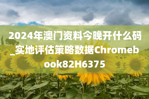 2024年澳门资料今晚开什么码_实地评估策略数据Chromebook82H6375