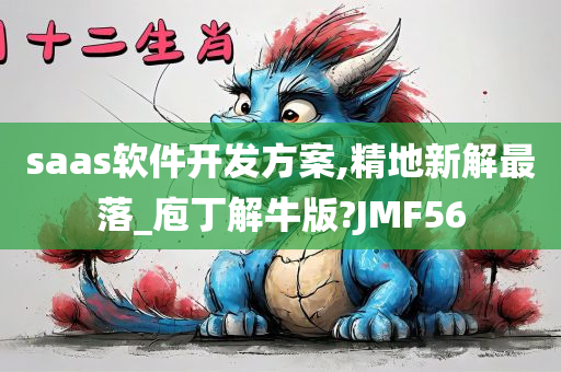 saas软件开发方案,精地新解最落_庖丁解牛版?JMF56