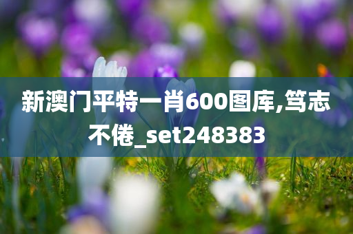 新澳门平特一肖600图库,笃志不倦_set248383