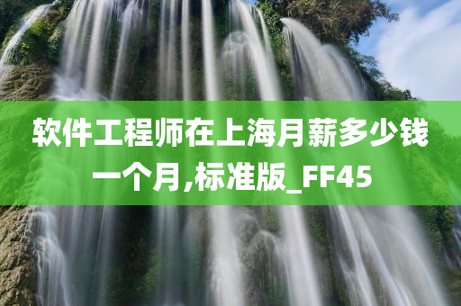 软件工程师在上海月薪多少钱一个月,标准版_FF45