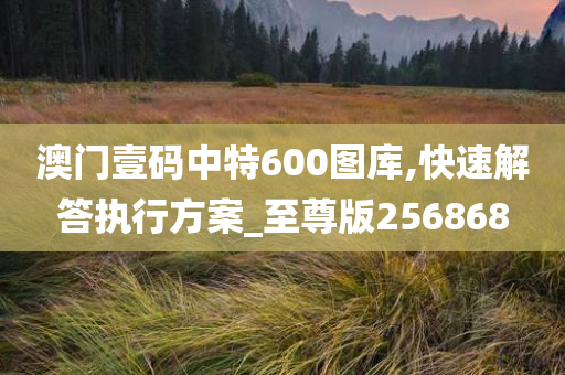 澳门壹码中特600图库,快速解答执行方案_至尊版256868