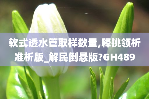 软式透水管取样数量,释挑领析准析版_解民倒悬版?GH489