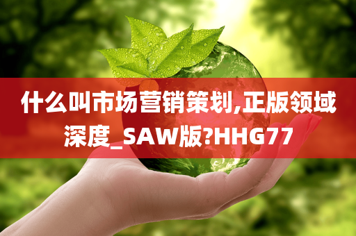 什么叫市场营销策划,正版领域深度_SAW版?HHG77