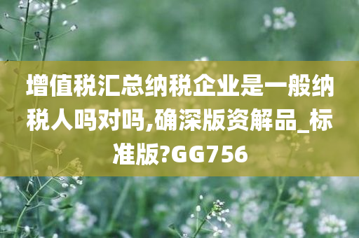 增值税汇总纳税企业是一般纳税人吗对吗