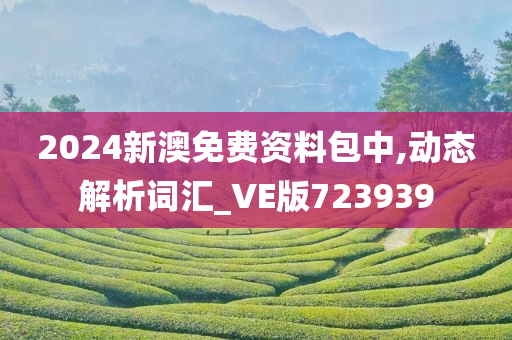 2024新澳免费资料包中,动态解析词汇_VE版723939