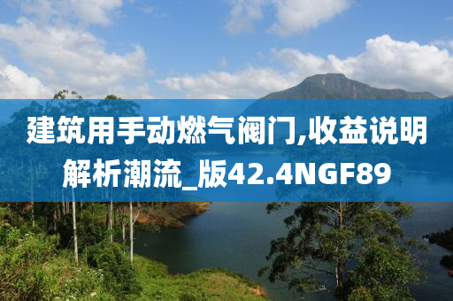 建筑用手动燃气阀门,收益说明解析潮流_版42.4NGF89