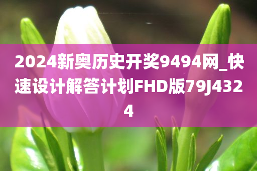 2024新奥历史开奖9494网_快速设计解答计划FHD版79J4324