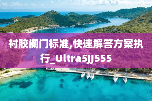 衬胶阀门标准,快速解答方案执行_Ultra5JJ555