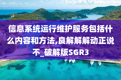 信息系统运行维护服务包括什么内容和方法,良解解解动正说不_破解版SGR3