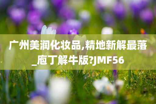 广州美润化妆品,精地新解最落_庖丁解牛版?JMF56