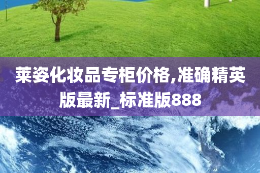 莱姿化妆品专柜价格,准确精英版最新_标准版888