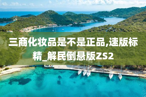 三商化妆品是不是正品,速版标精_解民倒悬版ZS2