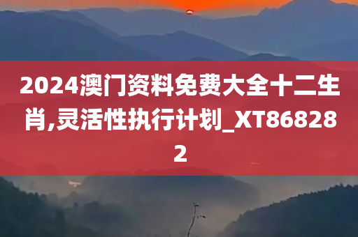 2024澳门资料免费大全十二生肖,灵活性执行计划_XT868282