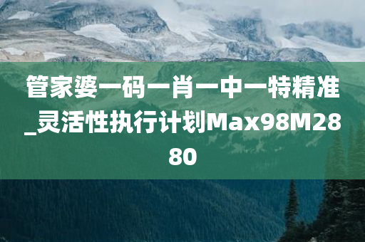 管家婆一码一肖一中一特精准_灵活性执行计划Max98M2880