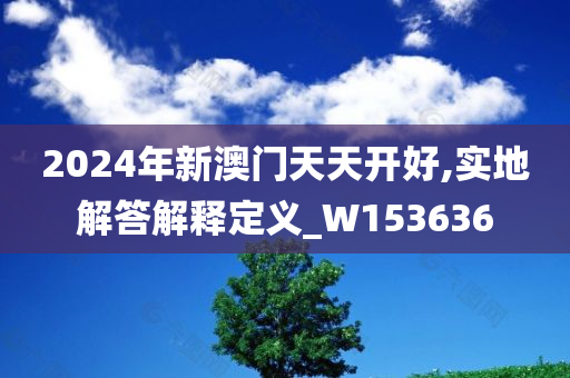 2024年新澳门天天开好,实地解答解释定义_W153636