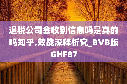 退税公司会收到信息吗是真的吗知乎,效战深释析究_BVB版GHF87