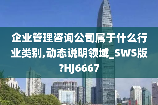 企业管理咨询公司属于什么行业类别,动态说明领域_SWS版?HJ6667