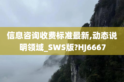 信息咨询收费标准最新,动态说明领域_SWS版?HJ6667