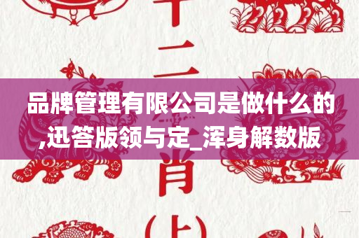 品牌管理有限公司是做什么的,迅答版领与定_浑身解数版