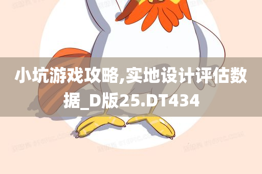 小坑游戏攻略,实地设计评估数据_D版25.DT434