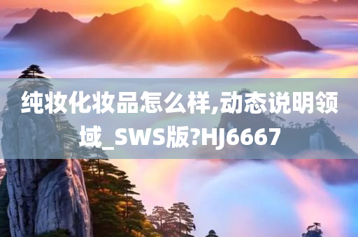 纯妆化妆品怎么样,动态说明领域_SWS版?HJ6667