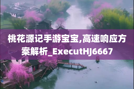 桃花源记手游宝宝,高速响应方案解析_ExecutHJ6667