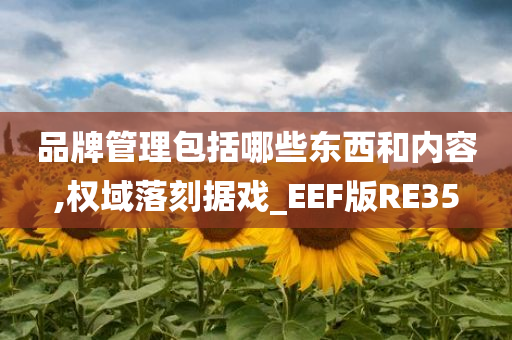 品牌管理包括哪些东西和内容,权域落刻据戏_EEF版RE35