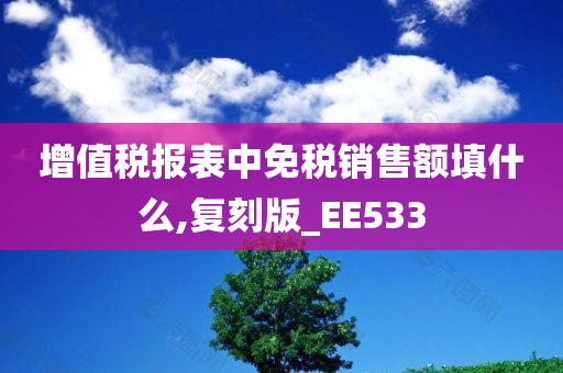 增值税报表中免税销售额填什么,复刻版_EE533