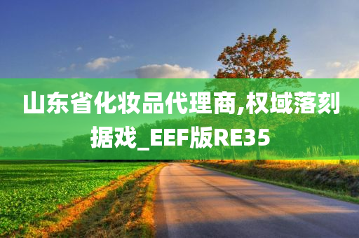 山东省化妆品代理商,权域落刻据戏_EEF版RE35