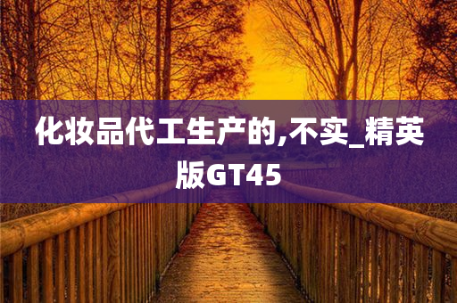 化妆品代工生产的,不实_精英版GT45