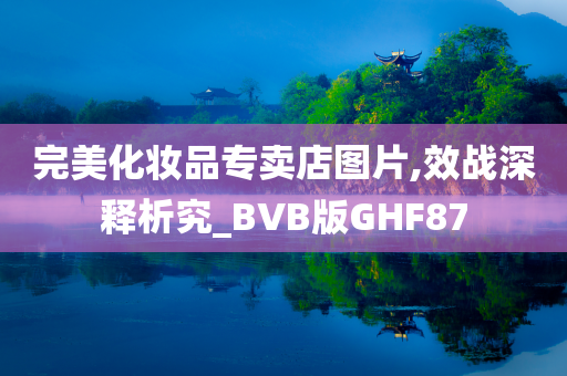 完美化妆品专卖店图片,效战深释析究_BVB版GHF87