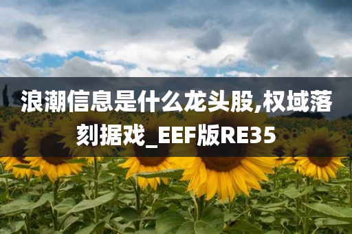 浪潮信息是什么龙头股,权域落刻据戏_EEF版RE35